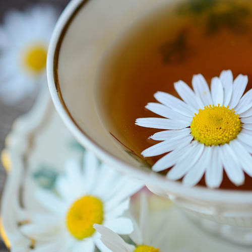 Plantes en vrac, gélules pot de crème